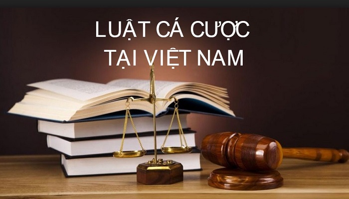 Luật cá độ mới nhất hiện nay ở Việt Nam