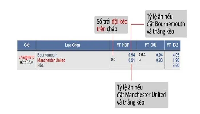 kinh-nghiem-chon-keo-tren-keo-duoi-chuan-xac