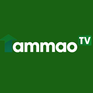 TamMaoTV – Chuyên trang trực tiếp bóng đá với hệ thống link chất lượng
