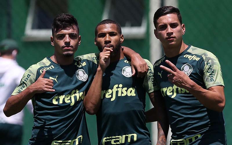 Soi kèo, nhận định Palmeiras vs Santos, 02h30 ngày 11/07/2021